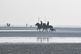 St-Peter-Ording-11-12-_063.jpg