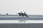 St-Peter-Ording-11-12-_064.jpg