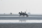 St-Peter-Ording-11-12-_065.jpg