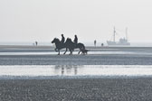 St-Peter-Ording-11-12-_068.jpg