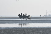 St-Peter-Ording-11-12-_069.jpg
