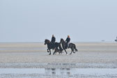 St-Peter-Ording-11-12-_074.jpg