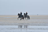 St-Peter-Ording-11-12-_075.jpg