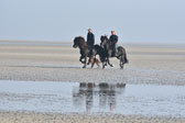 St-Peter-Ording-11-12-_076.jpg
