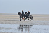 St-Peter-Ording-11-12-_077.jpg