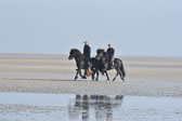 St-Peter-Ording-11-12-_078.jpg
