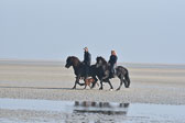 St-Peter-Ording-11-12-_081.jpg