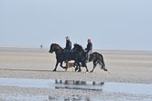 St-Peter-Ording-11-12-_082.jpg