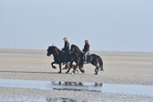 St-Peter-Ording-11-12-_084.jpg