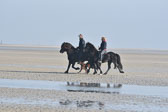 St-Peter-Ording-11-12-_085.jpg