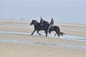 St-Peter-Ording-11-12-_087.jpg