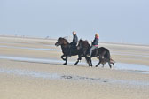 St-Peter-Ording-11-12-_089.jpg