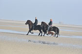 St Peter Ording 11+12