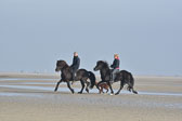 St-Peter-Ording-11-12-_092.jpg