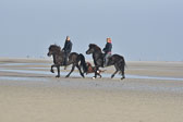 St-Peter-Ording-11-12-_093.jpg