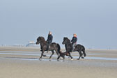 St-Peter-Ording-11-12-_095.jpg