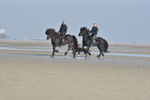 St-Peter-Ording-11-12-_096.jpg