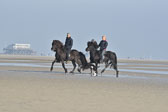 St-Peter-Ording-11-12-_097.jpg