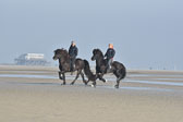 St-Peter-Ording-11-12-_098.jpg