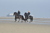 St-Peter-Ording-11-12-_099.jpg