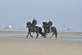 St Peter Ording 11+12