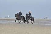 St-Peter-Ording-11-12-_101.jpg