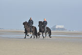 St-Peter-Ording-11-12-_104.jpg