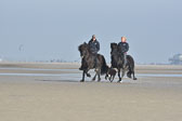 St-Peter-Ording-11-12-_106.jpg