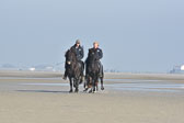 St-Peter-Ording-11-12-_113.jpg
