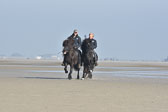 St-Peter-Ording-11-12-_114.jpg