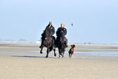 St-Peter-Ording-11-12-_117.jpg