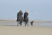 St-Peter-Ording-11-12-_118.jpg