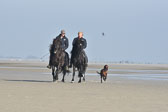 St-Peter-Ording-11-12-_119.jpg