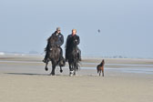 St-Peter-Ording-11-12-_120.jpg