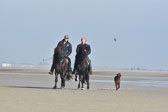 St-Peter-Ording-11-12-_121.jpg