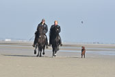 St-Peter-Ording-11-12-_123.jpg