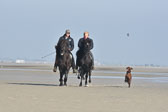St-Peter-Ording-11-12-_124.jpg