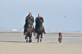 St-Peter-Ording-11-12-_130.jpg