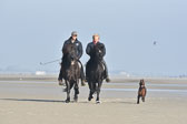 St-Peter-Ording-11-12-_131.jpg