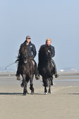 St Peter Ording 11+12