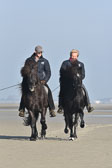 St-Peter-Ording-11-12-_141.jpg