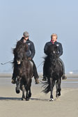 St-Peter-Ording-11-12-_143.jpg