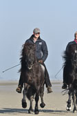 St-Peter-Ording-11-12-_147.jpg