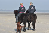 St-Peter-Ording-11-12-_153.jpg