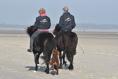 St-Peter-Ording-11-12-_154.jpg