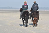 St-Peter-Ording-11-12-_155.jpg