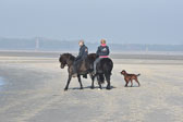 St-Peter-Ording-11-12-_161.jpg