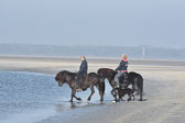 St-Peter-Ording-11-12-_162.jpg