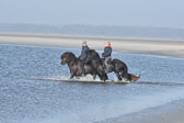 St-Peter-Ording-11-12-_165.jpg