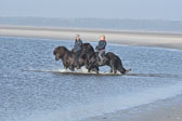 St Peter Ording 11+12
